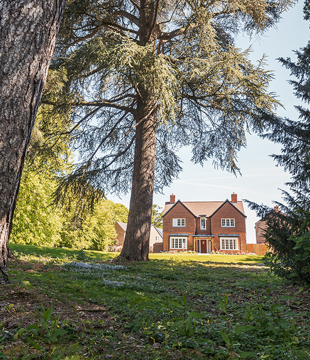 Birchwood homes and open space