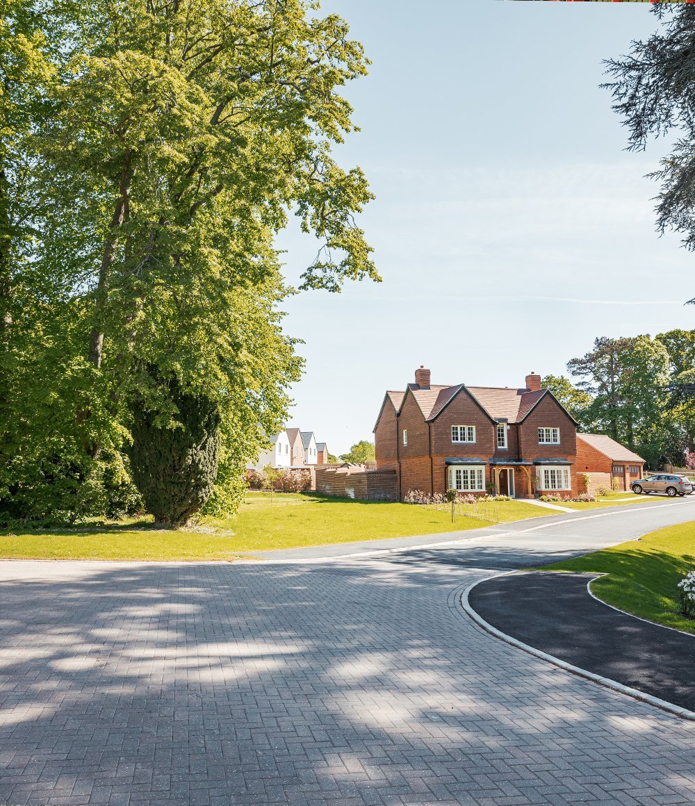 Birchwood homes and open space - road view