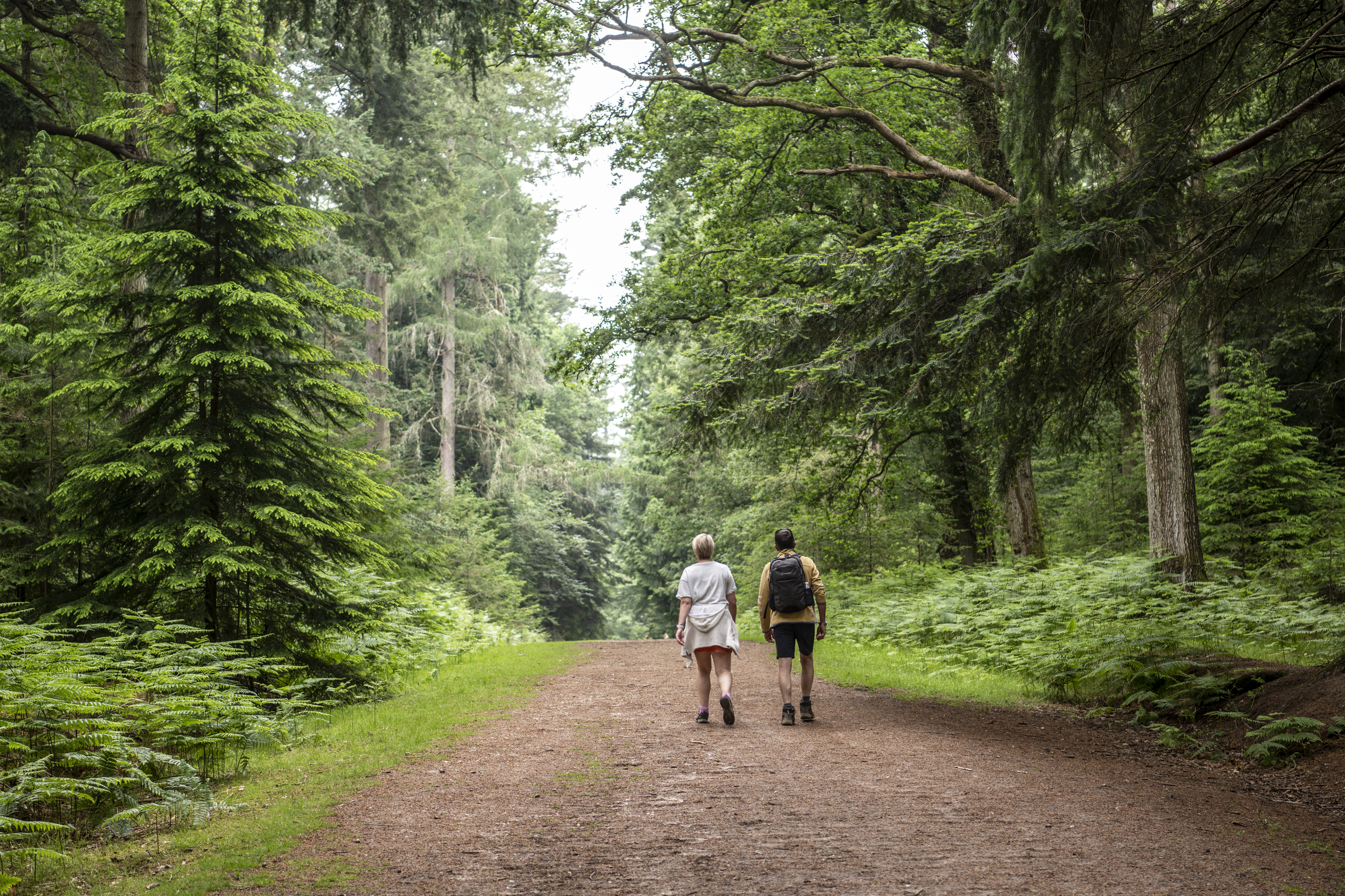 Couple walking in the New forest