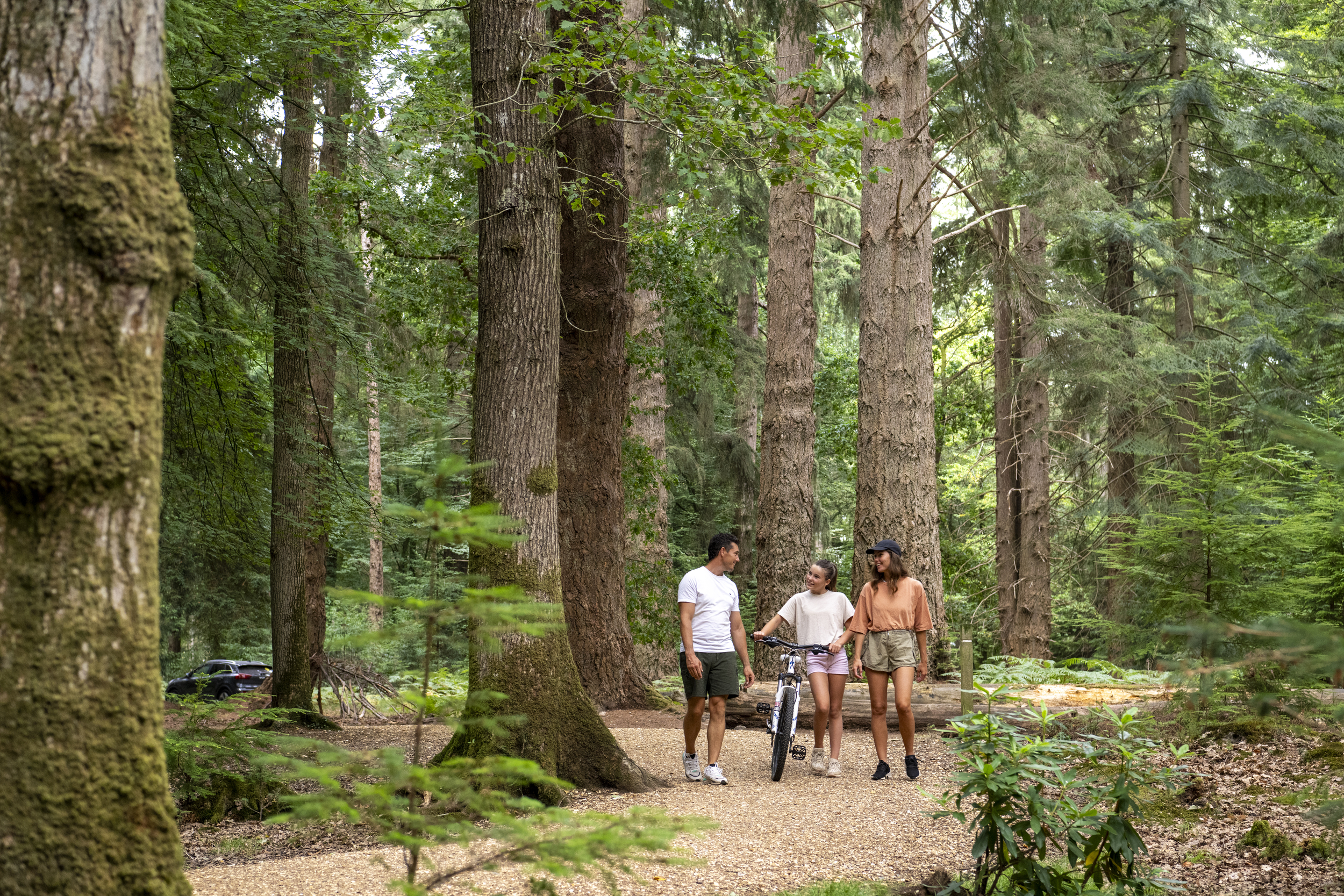 Family walking in the New Forest